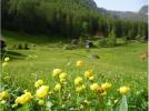 Agritur Leonardelli