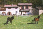 Agriturismo Meneghetti