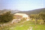 Agriturismo Viziola