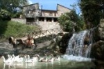 Agriturismo Le Querce Di Assisi