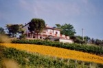 Agriturismo Bellacona